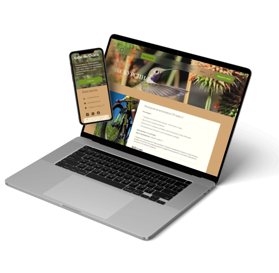project mockup